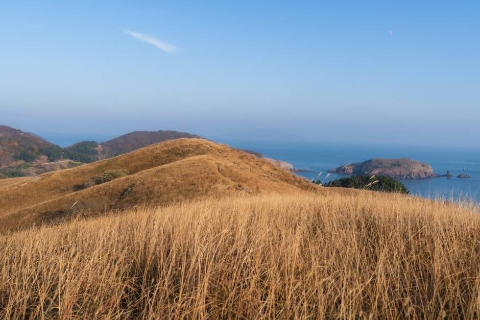 굴업도 여행 추천 - 메고지고 굴업도 여행 추천 - 메고지고
