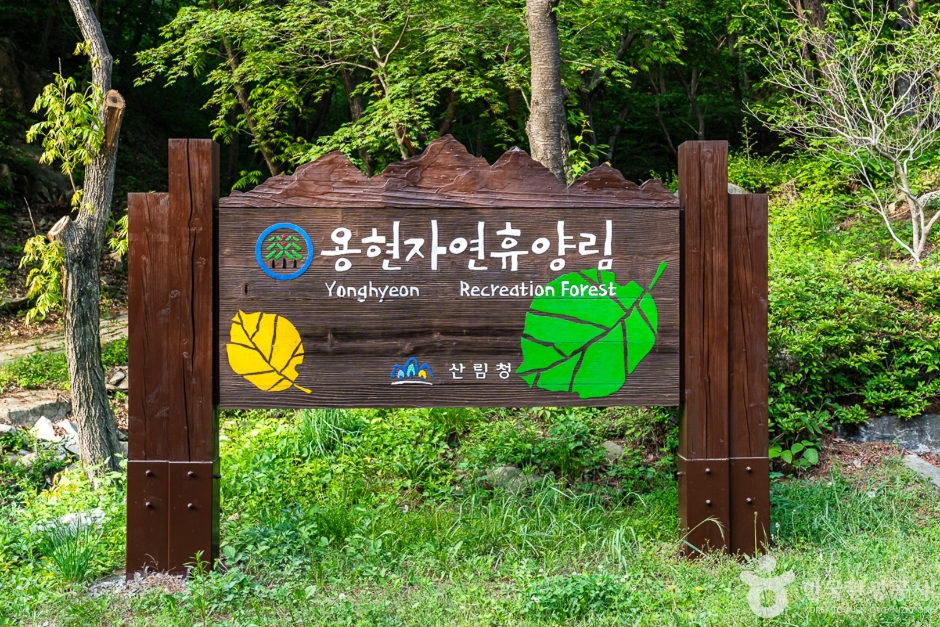 국립 용현자연휴양림 여행 추천 - 메고지고 국립 용현자연휴양림 여행 추천 - 메고지고
