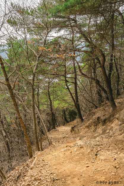 운암산(완주) 여행 추천 - 메고지고 운암산(완주) 여행 추천 - 메고지고