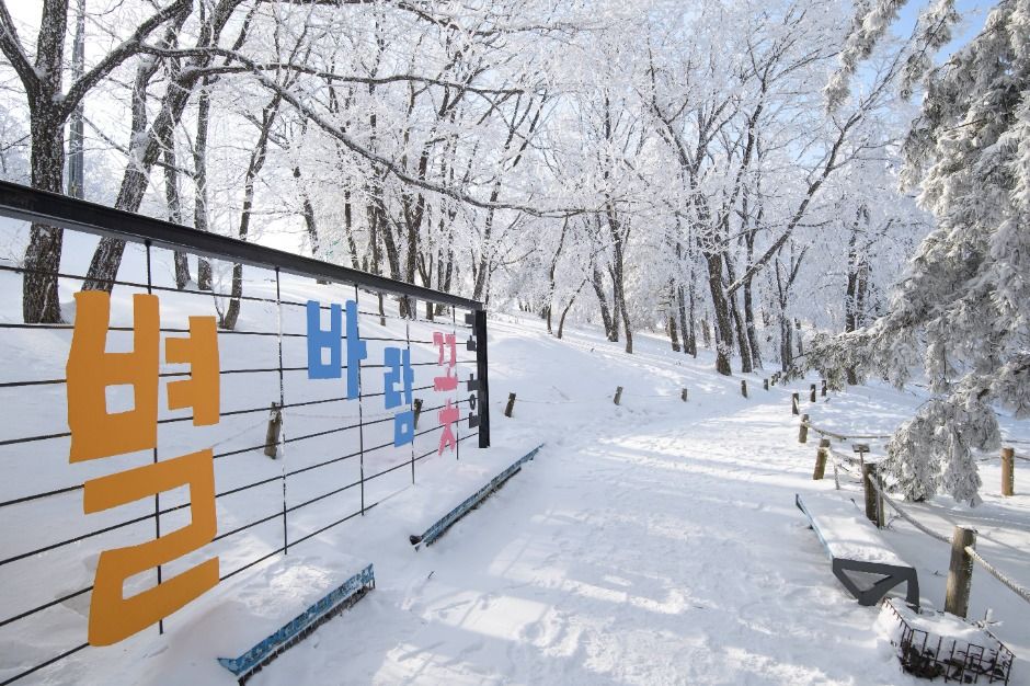 만항재 여행 추천 - 메고지고 만항재 여행 추천 - 메고지고