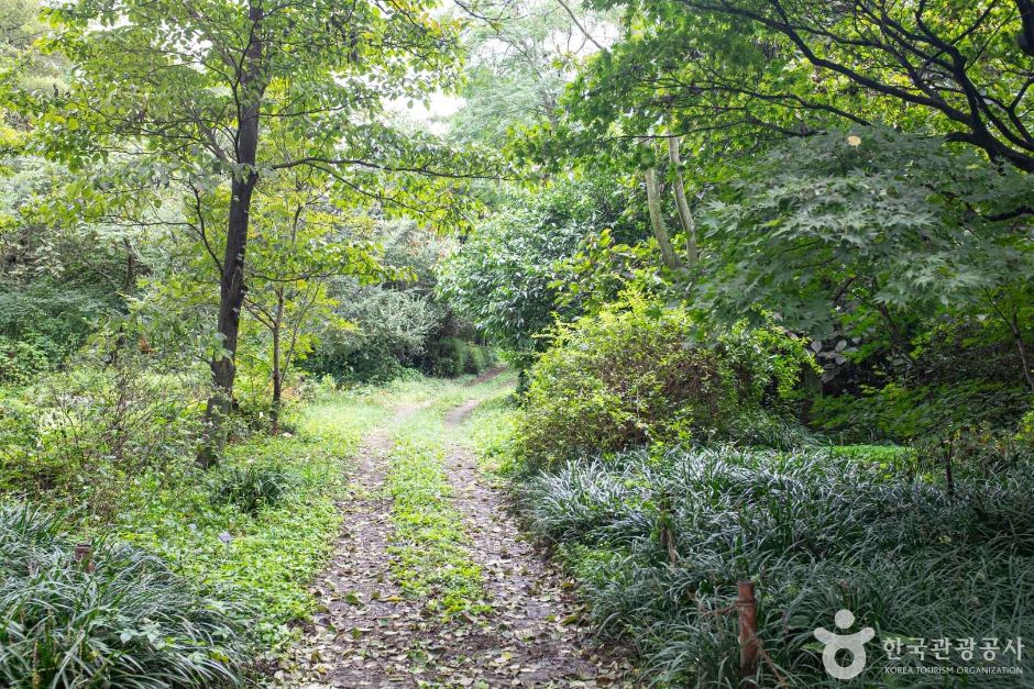 기청산식물원 여행 추천 - 메고지고 기청산식물원 여행 추천 - 메고지고