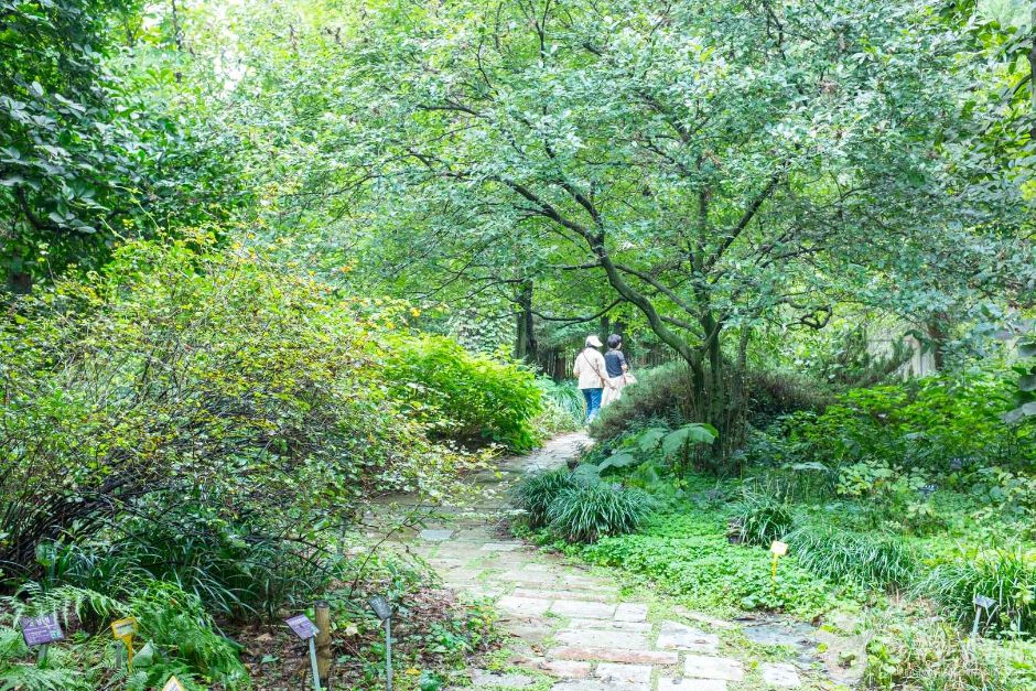 기청산식물원 여행 추천 - 메고지고 기청산식물원 여행 추천 - 메고지고
