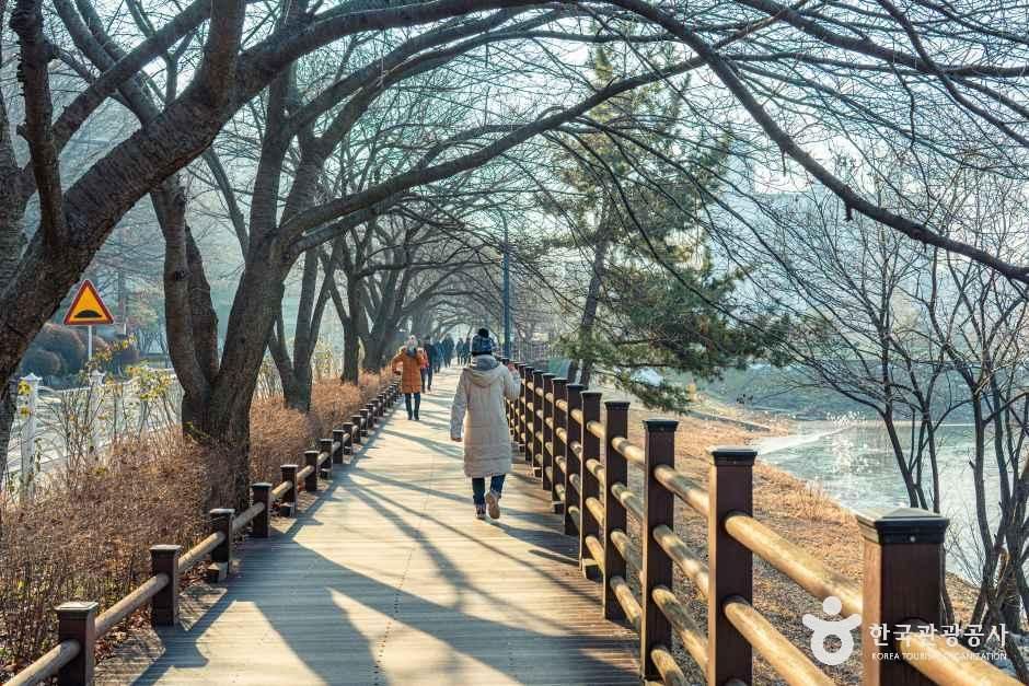 광교마루길 여행 추천 - 메고지고 광교마루길 여행 추천 - 메고지고