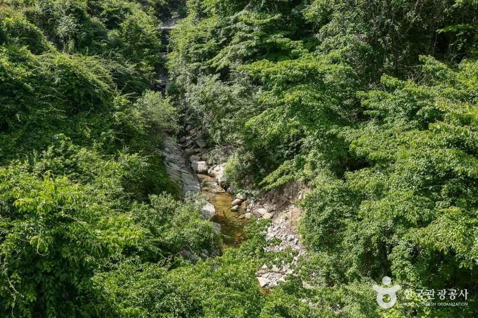 동산계곡 여행 추천 - 메고지고