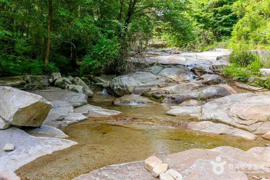 동산계곡 여행 추천 - 메고지고