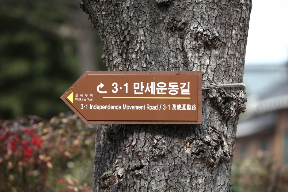 3·1만세운동길 여행 추천 - 메고지고 3·1만세운동길 여행 추천 - 메고지고
