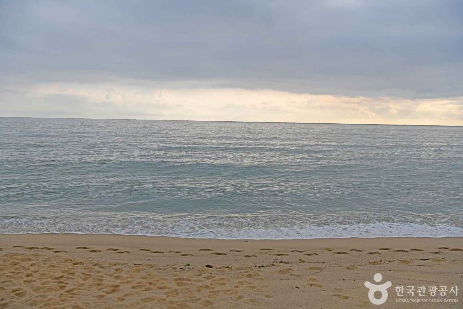 원포리해변 여행 추천 - 메고지고
