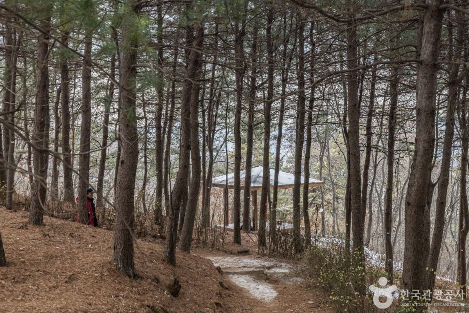 초안산 여행 추천 - 메고지고 초안산 여행 추천 - 메고지고