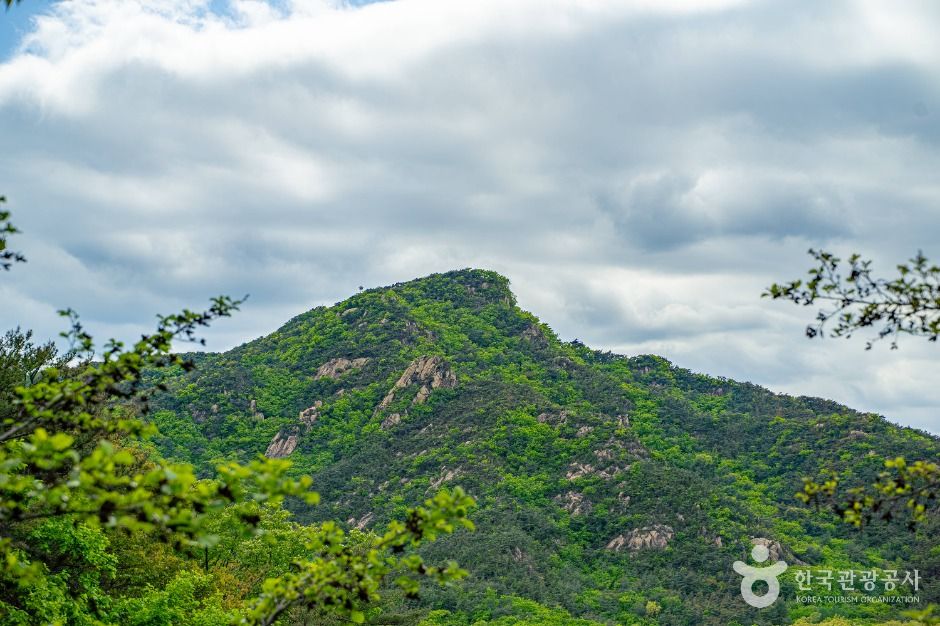 관악산 여행 추천 - 메고지고 관악산 여행 추천 - 메고지고