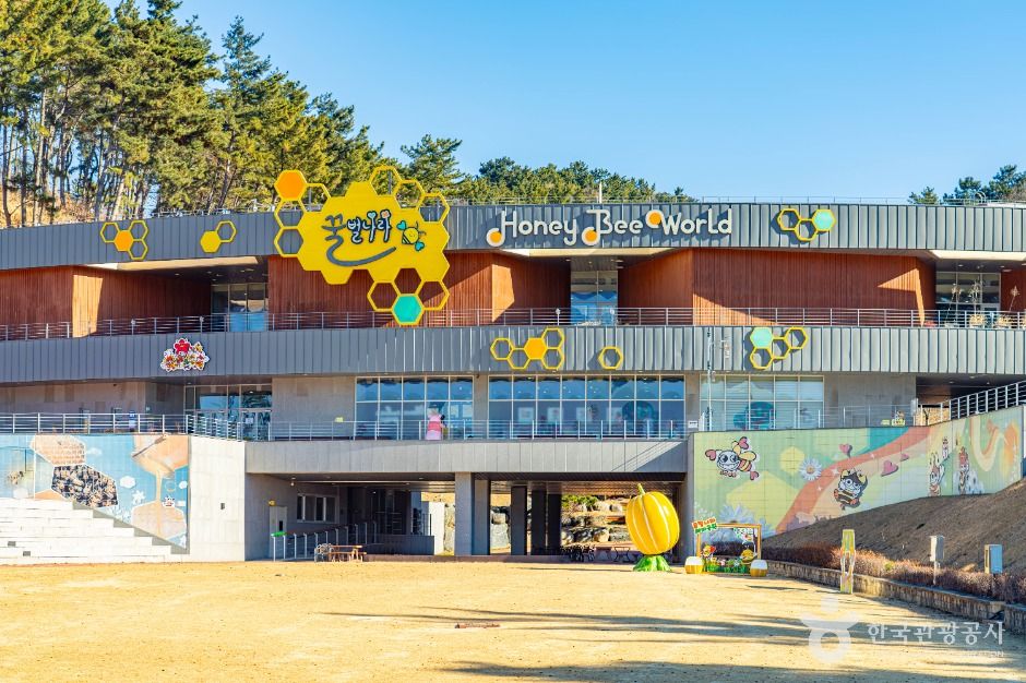 꿀벌나라테마공원 여행 추천 - 메고지고