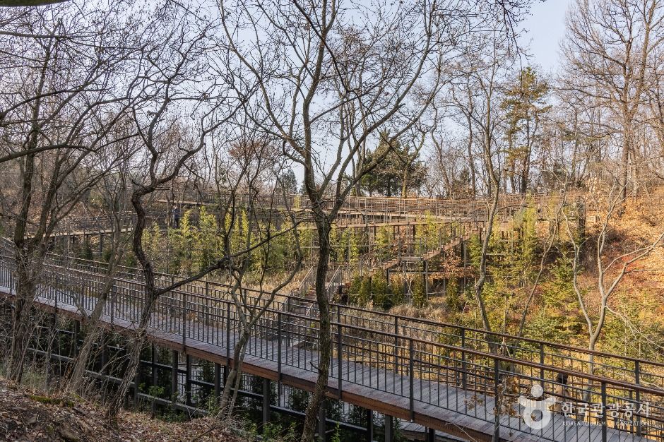 대모산도시자연공원 여행 추천 - 메고지고 대모산도시자연공원 여행 추천 - 메고지고