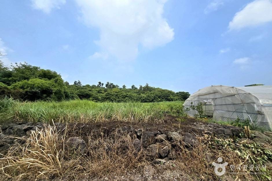 가새기오름 여행 추천 - 메고지고 가새기오름 여행 추천 - 메고지고