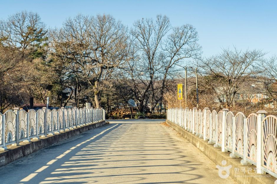 [속리산둘레길] 보은길 여행 추천 - 메고지고