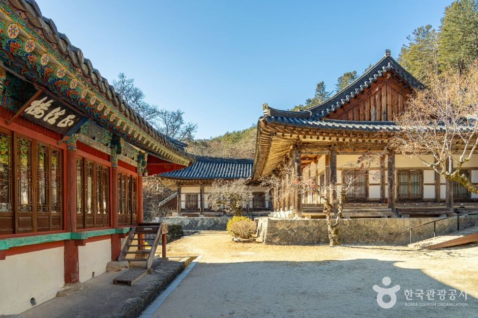 청암사(김천) 여행 추천 - 메고지고 청암사(김천) 여행 추천 - 메고지고