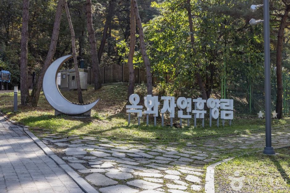 옥화자연휴양림 여행 추천 - 메고지고 옥화자연휴양림 여행 추천 - 메고지고