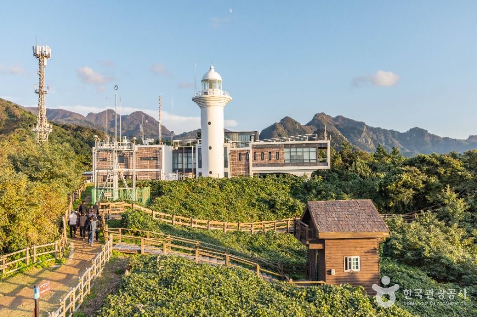울릉도등대(태하등대) 여행 추천 - 메고지고 울릉도등대(태하등대) 여행 추천 - 메고지고