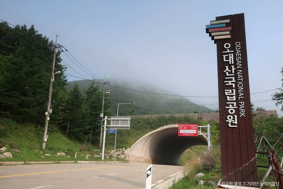 오대산국립공원 여행 추천 - 메고지고