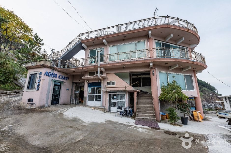 울릉아쿠아캠프 여행 추천 - 메고지고 울릉아쿠아캠프 여행 추천 - 메고지고