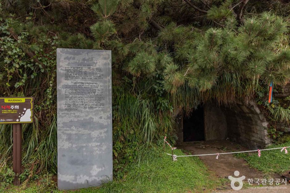 송악산 진지동굴 여행 추천 - 메고지고 송악산 진지동굴 여행 추천 - 메고지고