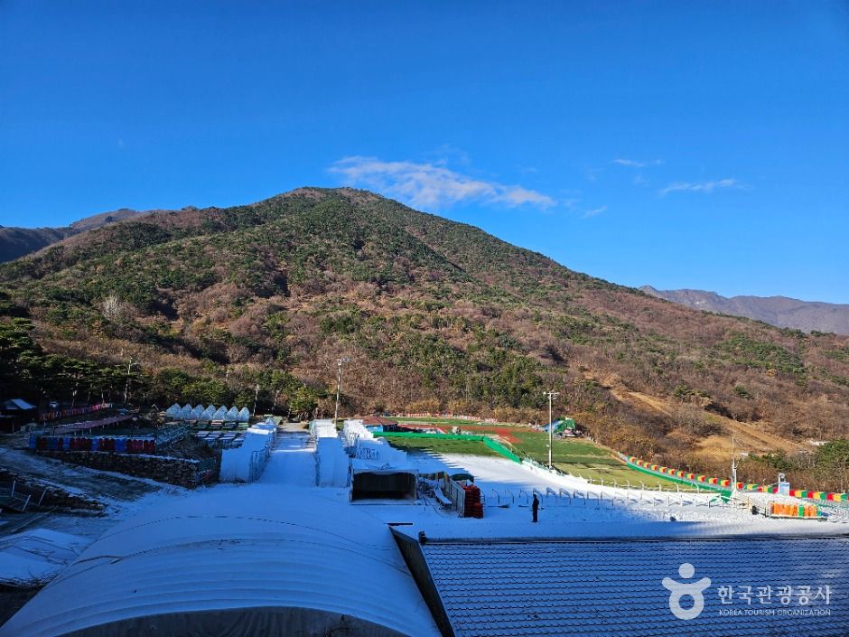 자수정동굴나라썰매장 여행 추천 - 메고지고 자수정동굴나라썰매장 여행 추천 - 메고지고