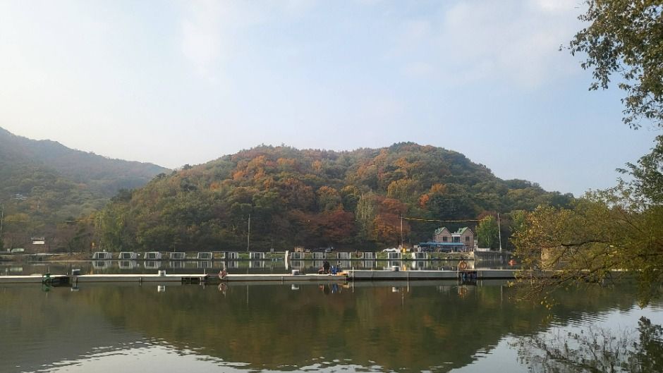 남창낚시터 여행 추천 - 메고지고 남창낚시터 여행 추천 - 메고지고