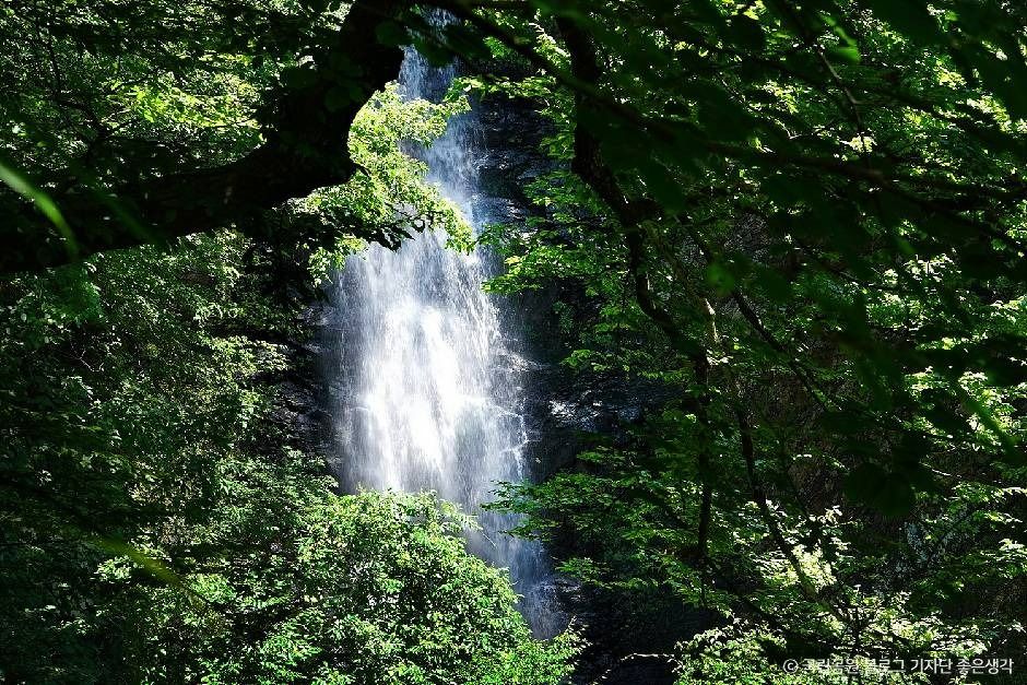 지리산국립공원(하동) 여행 추천 - 메고지고 지리산국립공원(하동) 여행 추천 - 메고지고