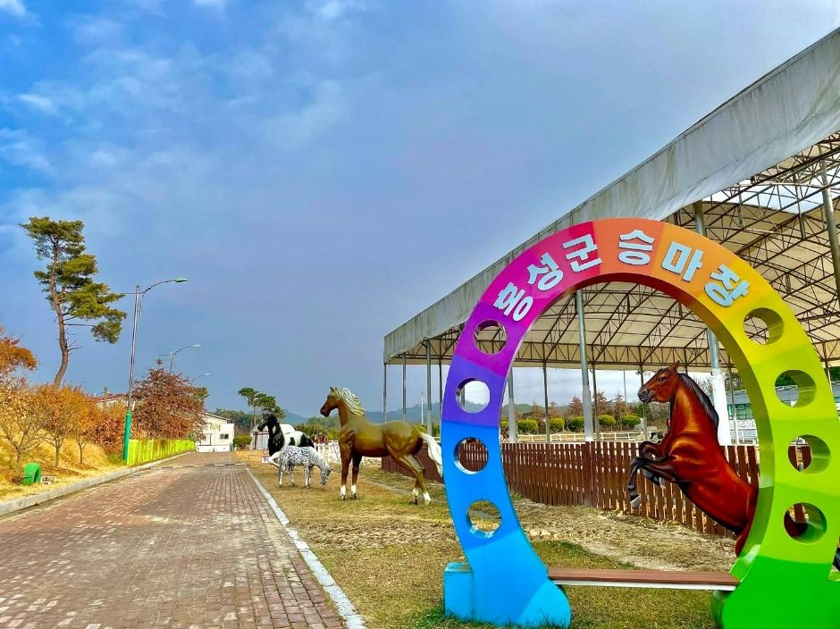 홍성군 승마장 여행 추천 - 메고지고 홍성군 승마장 여행 추천 - 메고지고