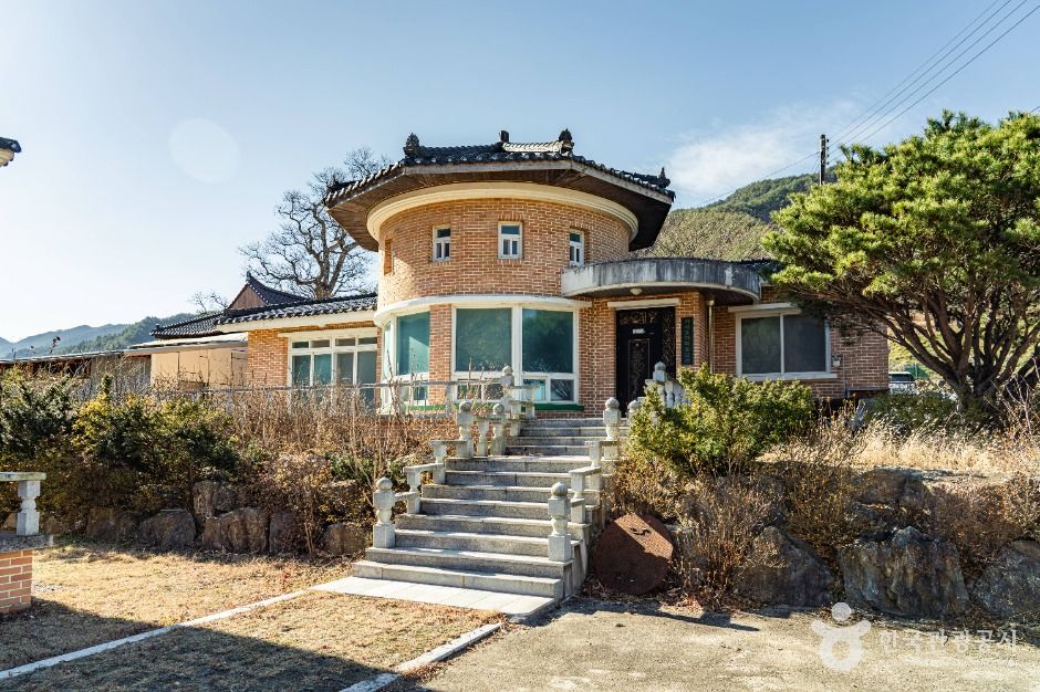 삼척 가시오가피마을 여행 추천 - 메고지고 삼척 가시오가피마을 여행 추천 - 메고지고