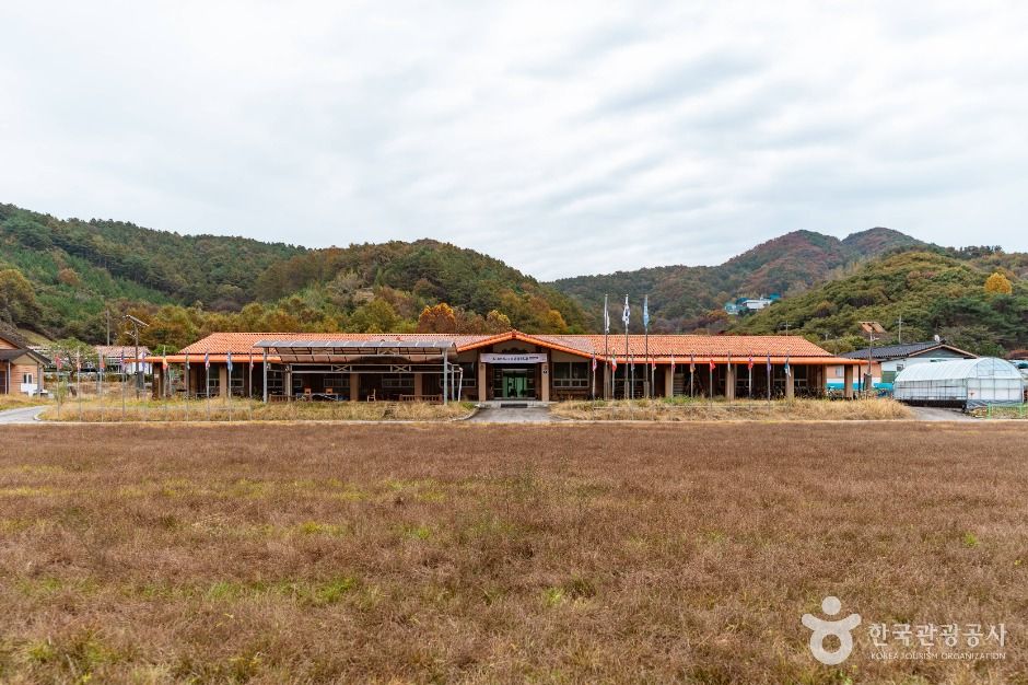 둥구리 농촌체험휴양마을 여행 추천 - 메고지고