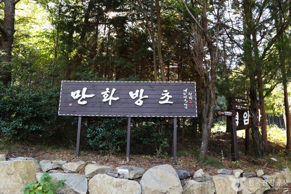 만화방초 여행 추천 - 메고지고 만화방초 여행 추천 - 메고지고