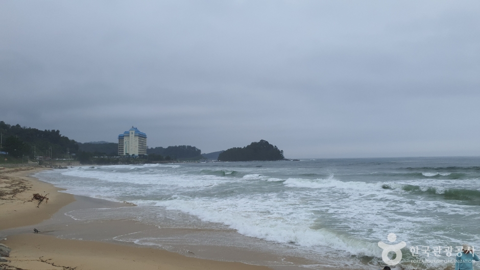 대진1리해변 여행 추천 - 메고지고