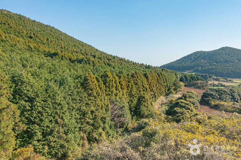 도리미오름 여행 추천 - 메고지고 도리미오름 여행 추천 - 메고지고