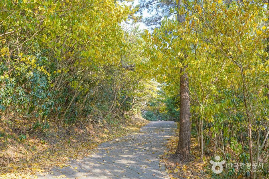 느지리오름 여행 추천 - 메고지고 느지리오름 여행 추천 - 메고지고
