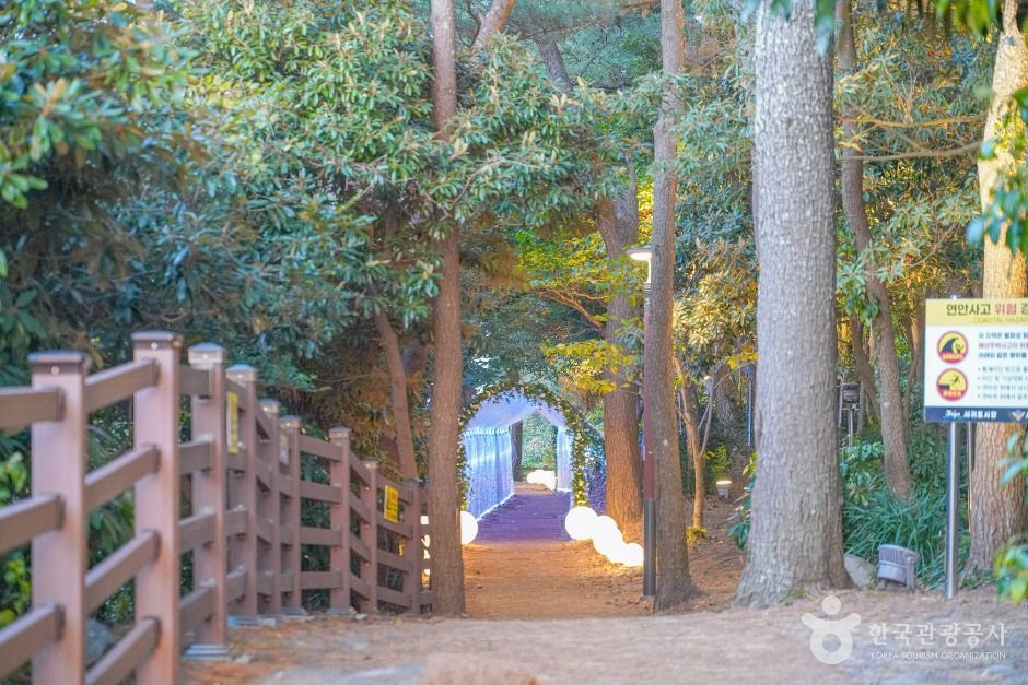 [하영올레] 1코스 여행 추천 - 메고지고