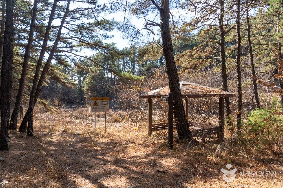내천못재 여행 추천 - 메고지고 내천못재 여행 추천 - 메고지고