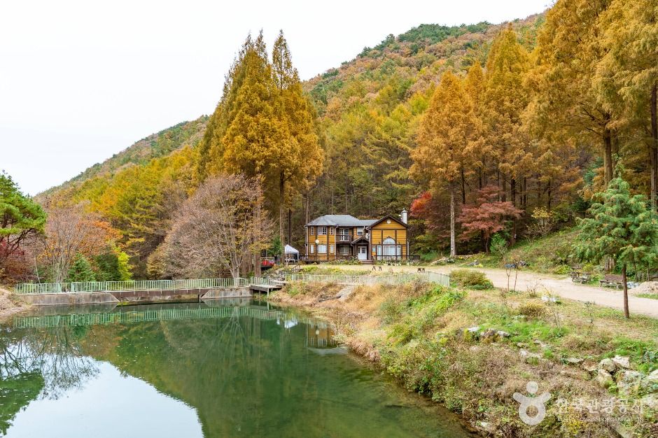 온빛자연휴양림 여행 추천 - 메고지고 온빛자연휴양림 여행 추천 - 메고지고