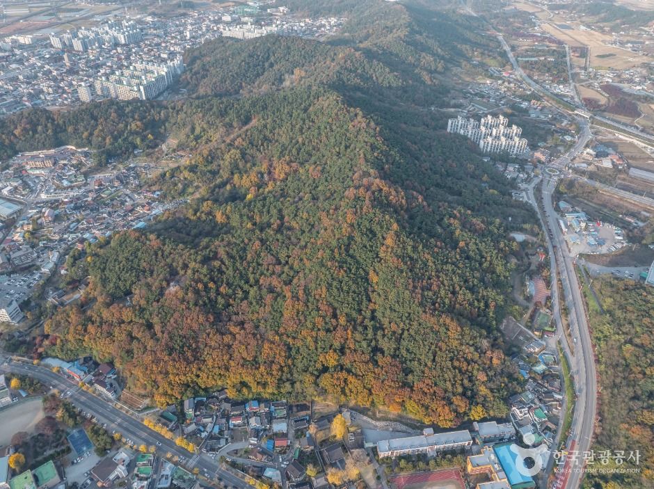 성황산 여행 추천 - 메고지고 성황산 여행 추천 - 메고지고