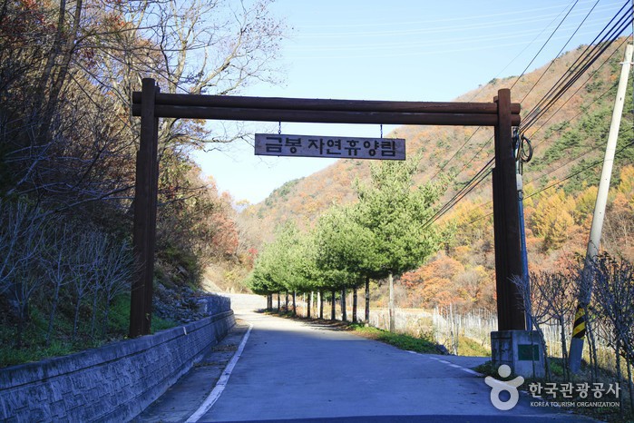 금봉자연휴양림 여행 추천 - 메고지고 금봉자연휴양림 여행 추천 - 메고지고