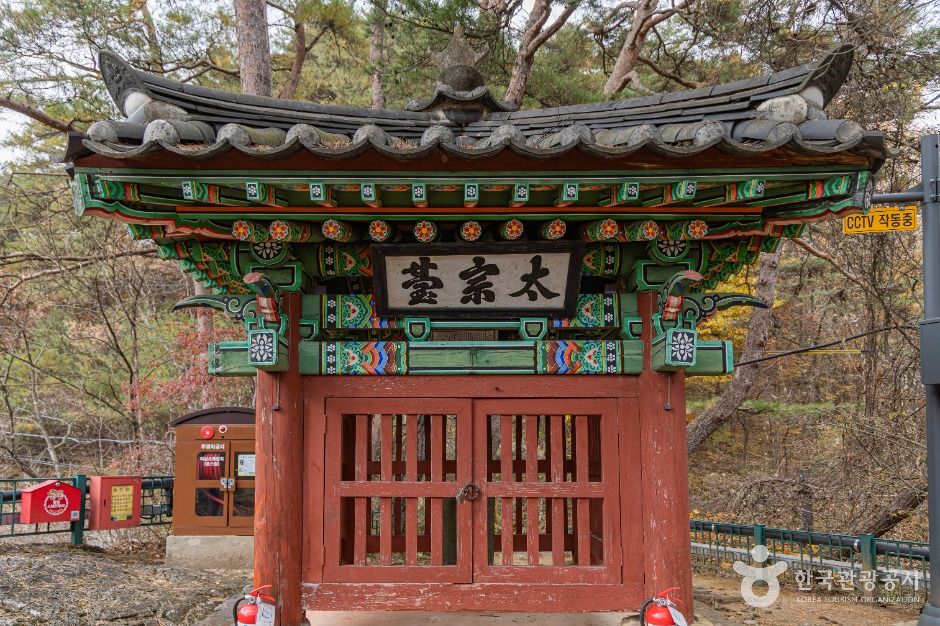 태종대(횡성) 여행 추천 - 메고지고 태종대(횡성) 여행 추천 - 메고지고