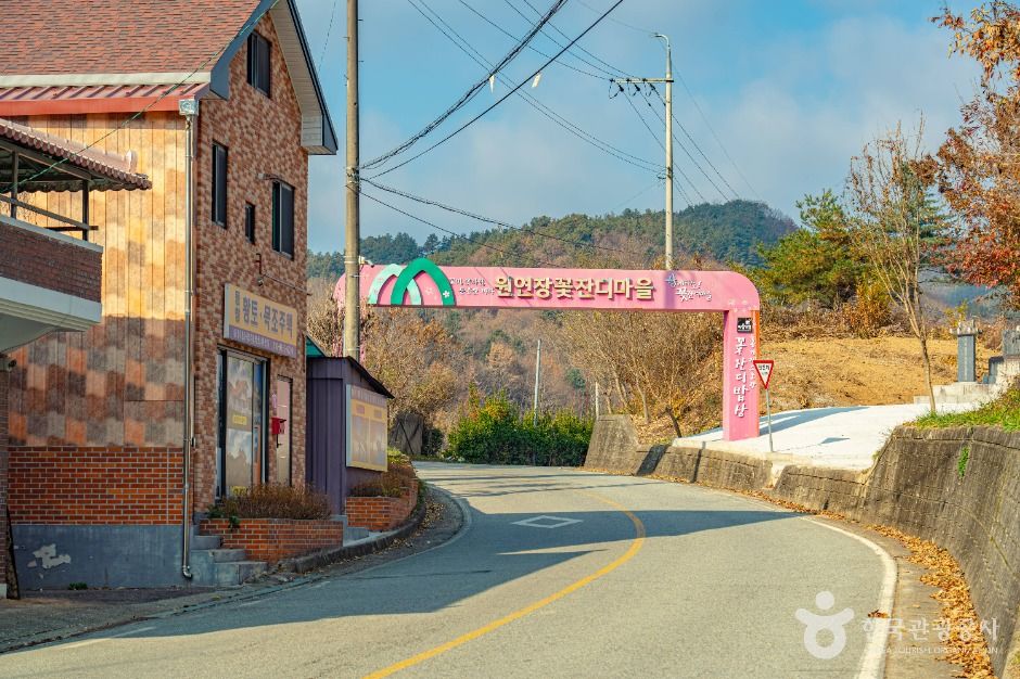 원연장 꽃잔디마을 여행 추천 - 메고지고 원연장 꽃잔디마을 여행 추천 - 메고지고