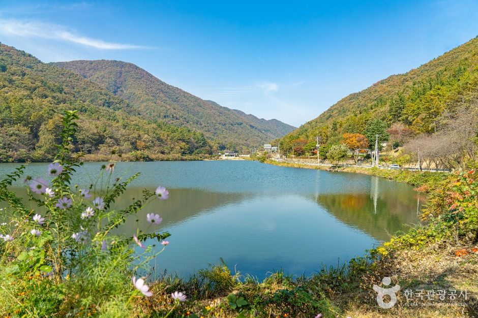오성제 저수지 여행 추천 - 메고지고 오성제 저수지 여행 추천 - 메고지고