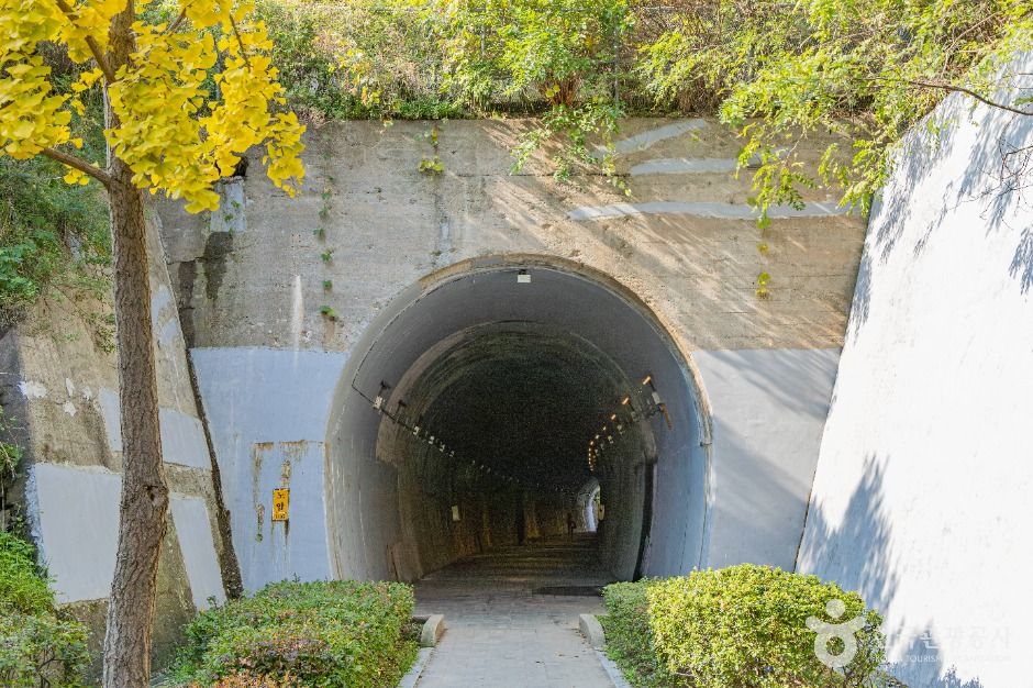 노암터널 여행 추천 - 메고지고 노암터널 여행 추천 - 메고지고