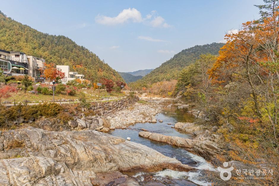 오대산 소금강계곡 여행 추천 - 메고지고 오대산 소금강계곡 여행 추천 - 메고지고