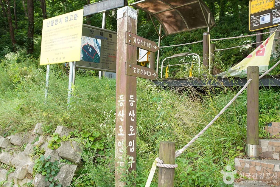 조양산(정선) 여행 추천 - 메고지고 조양산(정선) 여행 추천 - 메고지고