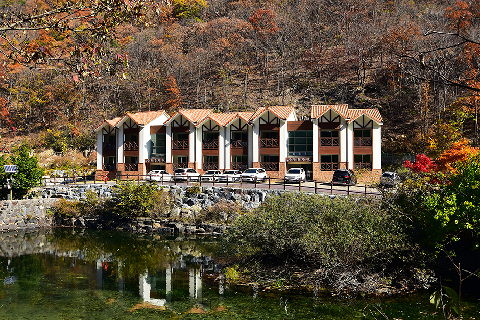 금산산림문화타운 여행 추천 - 메고지고 금산산림문화타운 여행 추천 - 메고지고
