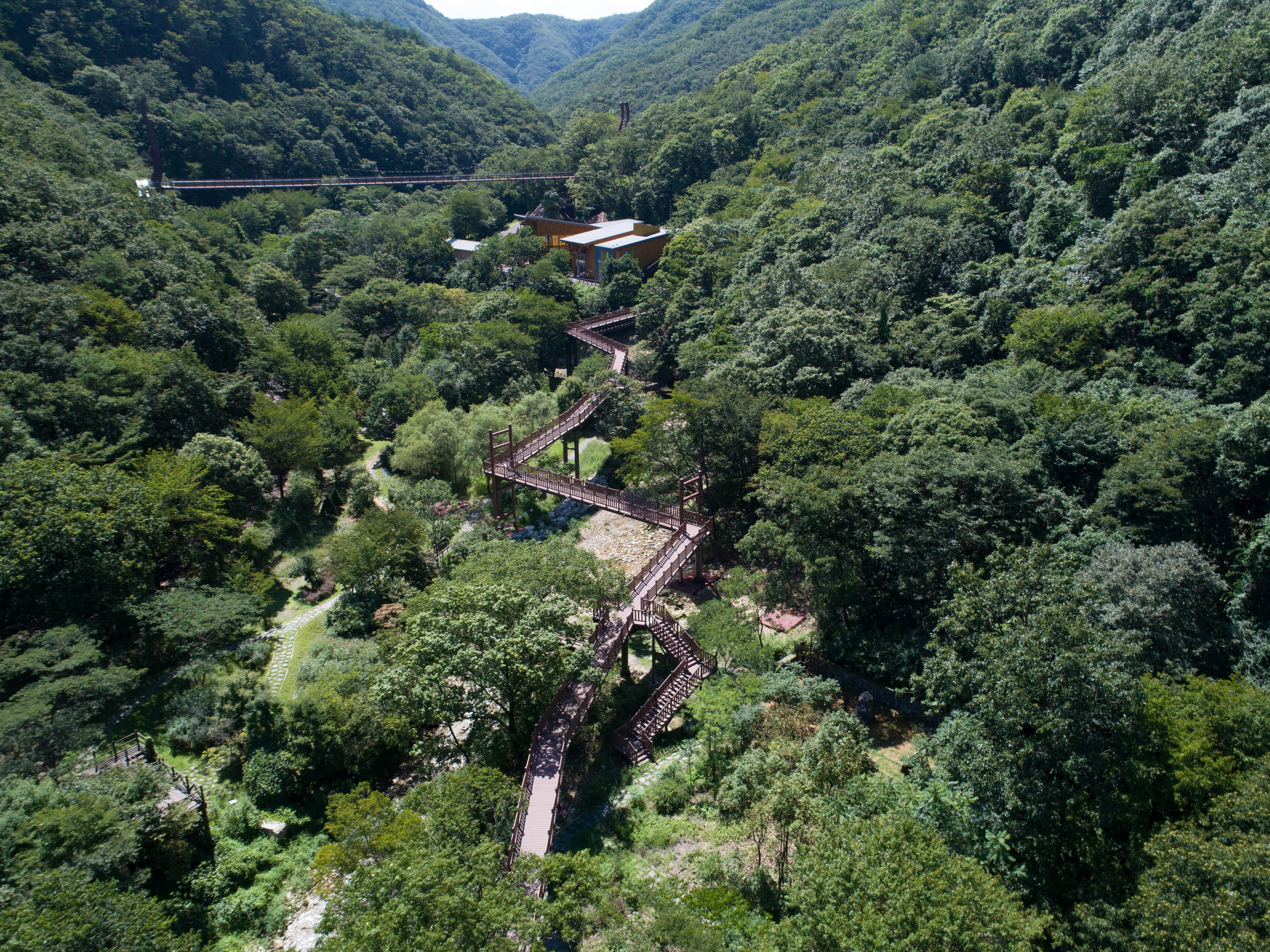 금산산림문화타운 여행 추천 - 메고지고 금산산림문화타운 여행 추천 - 메고지고