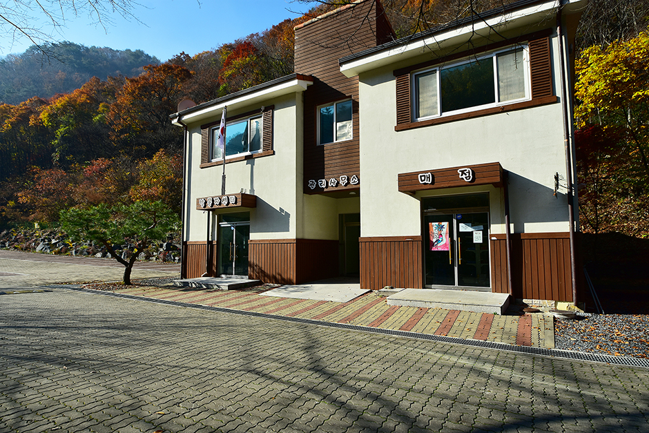 금산산림문화타운 여행 추천 - 메고지고 금산산림문화타운 여행 추천 - 메고지고