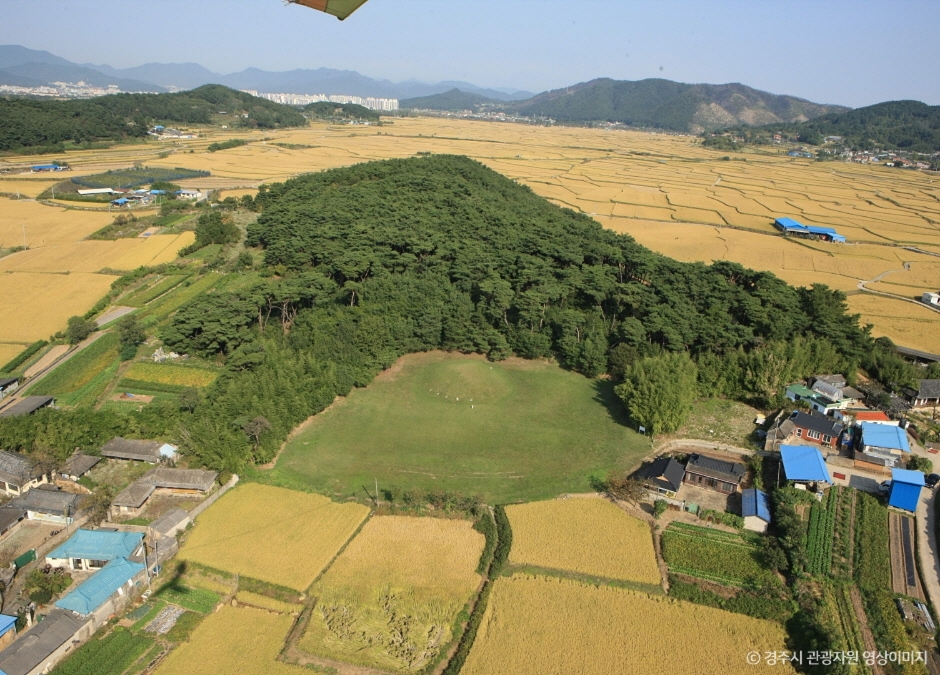 경주 효공왕릉 여행 추천 - 메고지고 경주 효공왕릉 여행 추천 - 메고지고