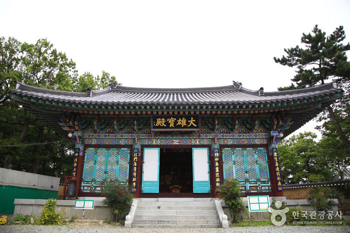 임허사(포항) 여행 추천 - 메고지고 임허사(포항) 여행 추천 - 메고지고