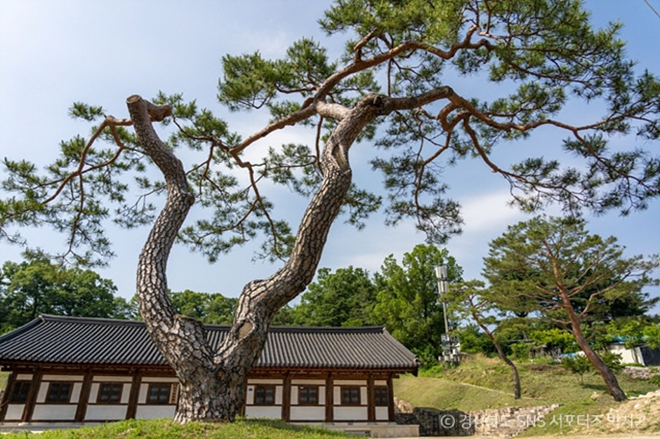 상주향교 여행 추천 - 메고지고 상주향교 여행 추천 - 메고지고